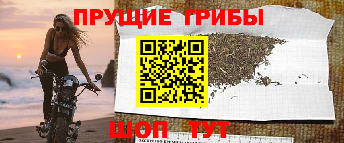 Галлюциногенные грибы GOLDEN TEACHER  Вход с VPN  Верхняя Салда 