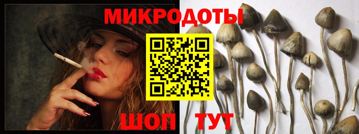 Галлюциногенные грибы MAGIC MUSHROOMS Верхняя Салда